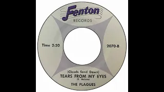 Plagues - (Clouds Send Down) Tears From My Eyes