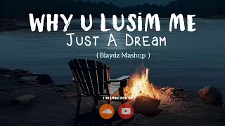 Just a Dream x Why U Lusim Me - Nelly, Jayrex (Blaydz Mashup) 2023