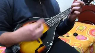 The Battle of Evermore (Led Zeppelin Cover) - Mandolin/Bandolim