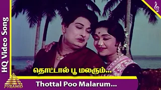 Thottal Poo Malarum Video Song | Padagotti Movie Songs | MGR | Saroja Devi | Pyramid Music