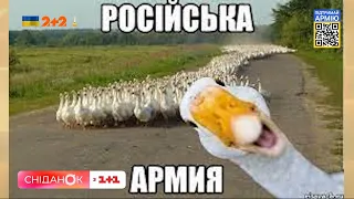 Жартувати обов’язково! — психотерапевт Олег Чабан про гумор під час війни