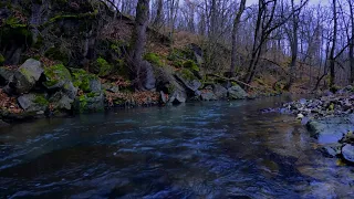 4 hour of Relaxing River Sounds - Study, Relax, Focus and Sleep