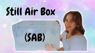 What is a Still Air Box and How to use it #mycology #mushroom #mushroomgrowing