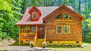 Rustic The Majestic Smokey Mountains! Elk Visit Often | Lovely Tiny House