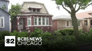 Storms bring down trees, power lines in Chicago