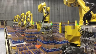 Automated Decasing System Uses Six FANUC Robots to Decase Bottles   StrongPoint Automation online vi