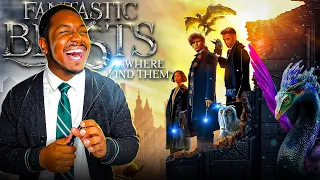 I Watched *FANTASTIC BEASTS AND WHERE TO FIND THEM* And It's Hilarious