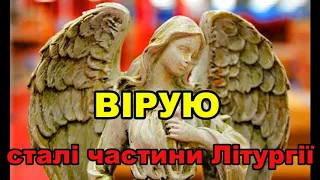 Вірую в єдиного Бога /  Сталі частини Літургії  / зведений хор Летичів 2020