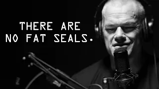 There Are No Fat Seals - Jocko Willink