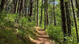 New River State Park Mothers Day Walk , 2024