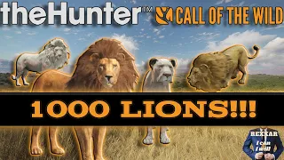 I grinded 1000 LIONS! The results will SHOCK you! theHunter Call of the Wild