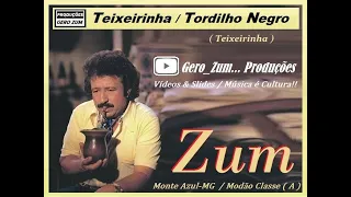 Teixeirinha - Tordilho Negro - Gero_Zum...