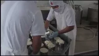 Elaboración de queso fresco QUESEROS DE CHIMBORAZO