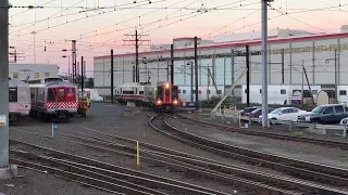 Metro North Railroad HD 60fps: Yard Moves in New Haven w/ Budd M2 & Kawasaki M8 (8/23/17)