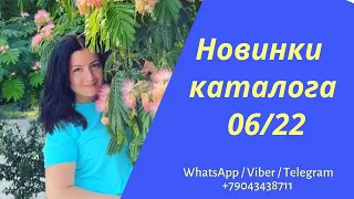 Новинки каталога 06/22 (Планерка)