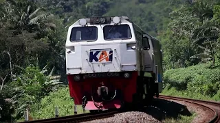 Morning Trainspotting on the Rice Field Track Near Old Java Station