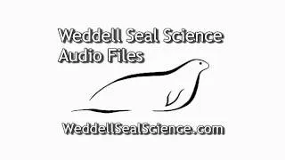 Weddell Seal Audio Files