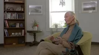 Jane Goodall Interview