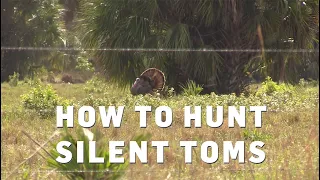 Turkey Calling Tips, Lesson 5: How to Hunt Silent Toms