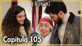 Hercai - Capítulo 105