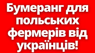 Отримають що просили! Бумеранг для польських фермерів від українців! 21.04.2024