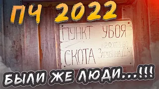 Чухлома 2022. День 2. Коряги. Заклинило тормоза. Юра мы все........ Наверстаем. Красиво то как!