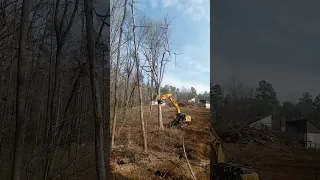 Stump Removal