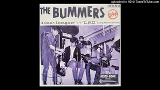 The Bummers -  L.S.D. (Long Silent Dream) (Mojo-Bone) 1967