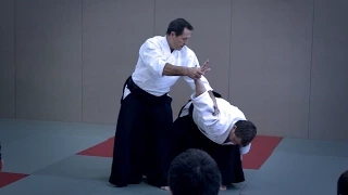 Aikido: Christian Tissier Paris Dec 2014