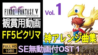 【FF5ピクセルリマスター】OST Vol.1（SE無ゲーム動画付）Final Fantasy 5 Pixel Remaster OST (With No SE Game Movie)