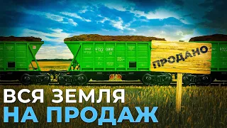 Як ринок землі зробить Україну багатшою? Мораторій на продаж землі - зло | Ціна держави