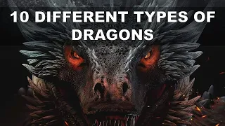 All Types of Dragons Explained