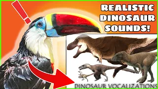 Toucan Reacts to Scientifically Accurate Dinosaur sounds!