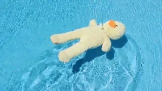 EL SEÑOR PATO EN LA PISCINA