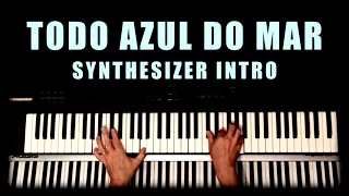 Todo Azul Do Mar - Synth Intro (14 Bis Keyboard Cover)