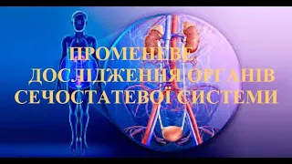 Променеве дослідження органів сечостатевої системи