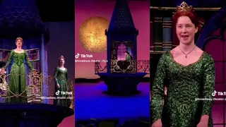 Theatre kids tiktok compliation