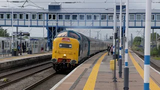 Alycidon runs in disguise as 'The Black Watch' | The Coronation Deltic - 19.08.23