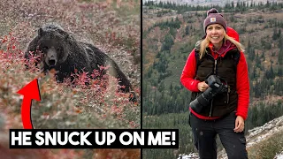 Photographing GRIZZLY BEARS 😱 in Montana & Wyoming with my Sigma 150-600