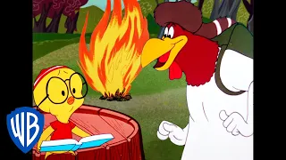 Looney Tunes | Camping with Foghorn Leghorn | Classic Cartoon | WB Kids