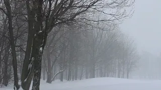 Дела давно минувших дней, преданья старины глубокой… под современную музыку Г.Сазерленда, Р.Стюарта