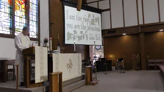 Fifth Sunday of Easter- The True Vine