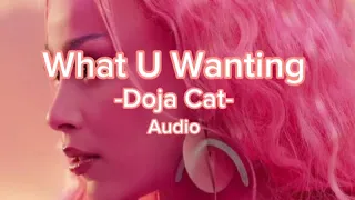 What U Wanting -Dojacat- Audio