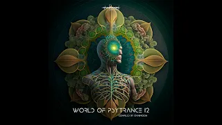 VA - World Of Psytrance 12 (2023) [full album in mix] (PsyTrance) [Ovnimoon Records]