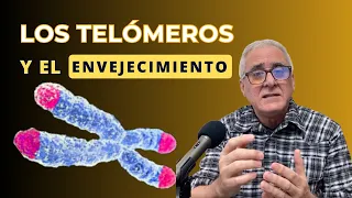 Los telómeros y el envejecimiento