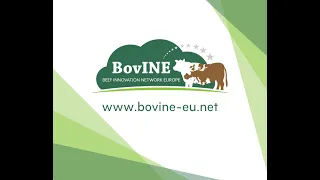 Introduction to BovINE - Beef Innovation Network Europe