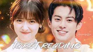 Dylan Wang & Shen Yue - Relationship Tarot Reading Update | 王鹤棣 Vương Hạc Đệ & 沈月 Thẩm Nguyệt