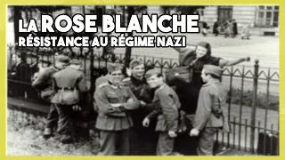 La rose blanche : une résistance allemande.