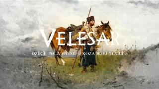 VELESAR - Dzikie Pola (pieśń o kozackiej sławie) - Official Lyric Video