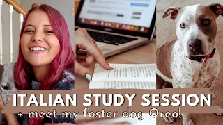 My 30 Min Italian Study Routine + Meet Oreo! 🐾